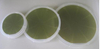 SiC Wafers